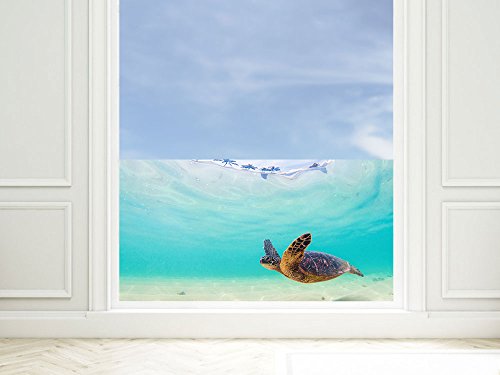 GRAZDesign Fensterfolie Bad Blickdicht bunt Schildkröte - Sichtschutzfolie maritim Badezimmer - für Dusche & Fenster - 80x57cm / Silbergrau