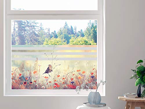 GRAZDesign Sichtschutzfolie Blumen, Fensterfolie für Küche, Wohnzimmer, Blickdichte Folie / 80x57cm
